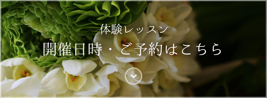 体験レッスン　開催日時・ご予約はこちら